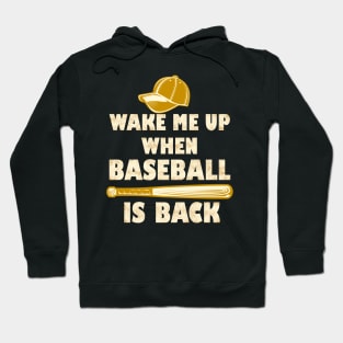 wake me up when baseball is back Hoodie